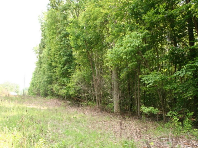 2.24 Acre Partially Wooded Lot : Powhatan : Powhatan County : Virginia