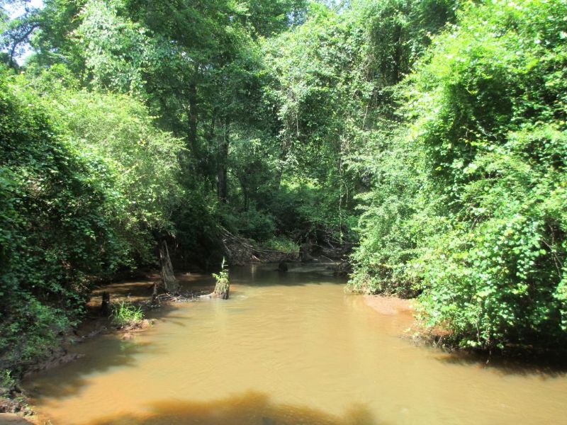 51 Acres Little Tobesofkee Creek : Forsyth : Monroe County : Georgia