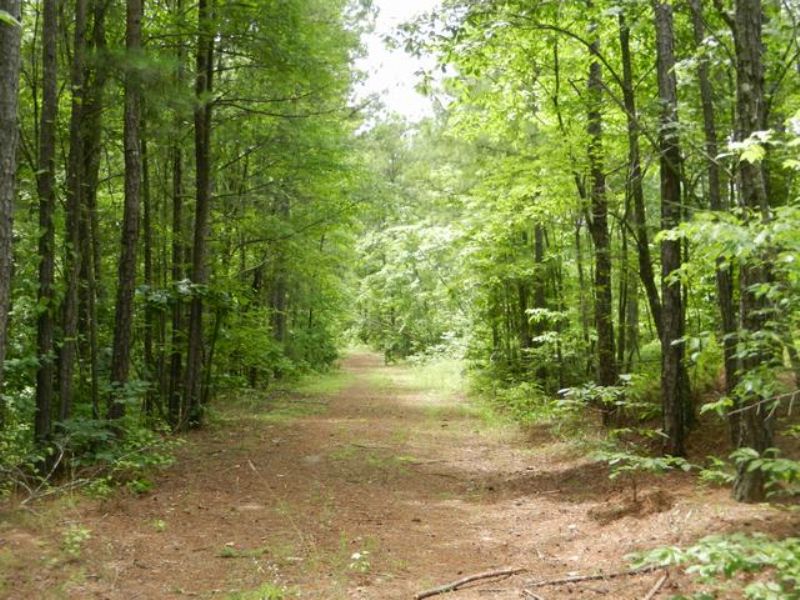 Land for Sale Near Cragford : Goldville : Clay County : Alabama