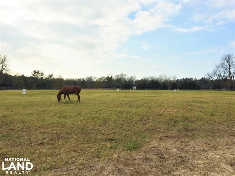 St, Matthews Equestrian Estate : Saint Matthews : Calhoun County : South Carolina