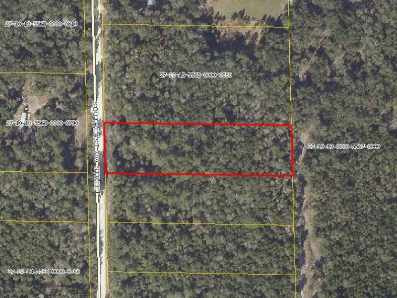2.44 Wooded Tract : Old Town : Dixie County : Florida