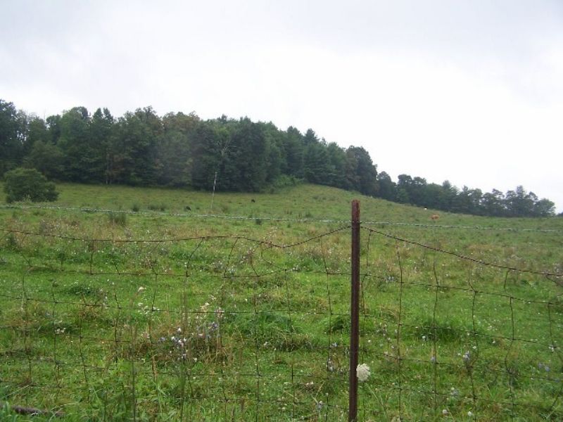 Sustainable Homestead/farmland Ac. : Independence : Grayson County : Virginia