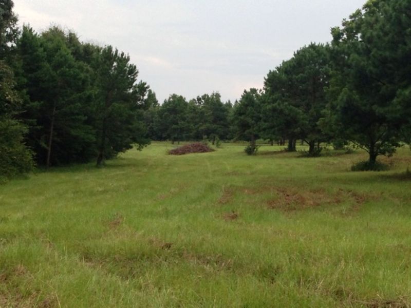27 +/- Ac in The Josie Community : Banks : Pike County : Alabama