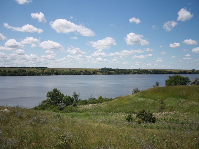 97 Acres On Big Stone Lake : Browns Valley : Traverse County : Minnesota
