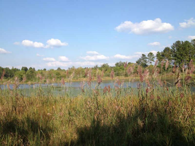 9.92 Acres - Waterfront/no Restrict : Poplarville : Pearl River County : Mississippi