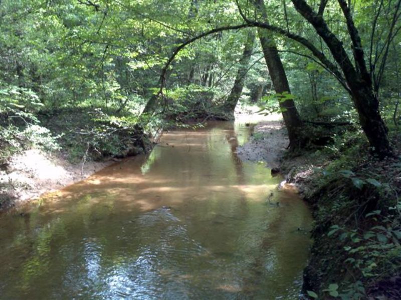 82 Acres with View and 2 Creeks : Travelers Rest : Greenville County : South Carolina