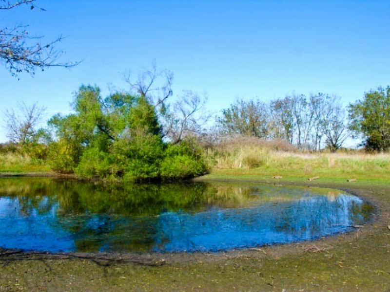 5 Acre Saddlebrook Ranch pond : Okemah : Oklahoma County : Oklahoma