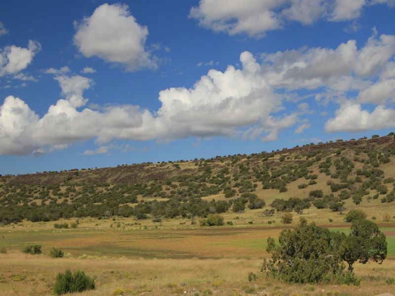 AZ 37 Acre Self Sufficiency Ranch : Saint Johns : Apache County : Arizona