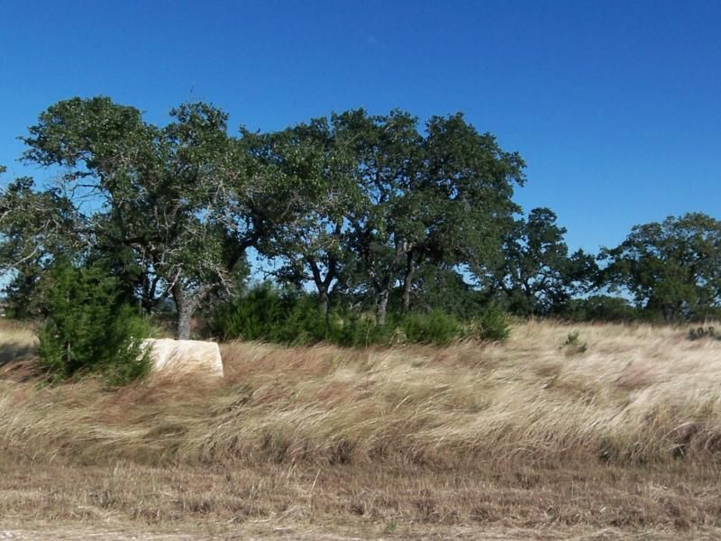 Beautiful Land for Sale in Texas : Spring Branch : Comal County : Texas