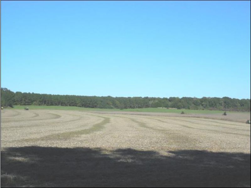 280 Acres : Goodman : Holmes County : Mississippi