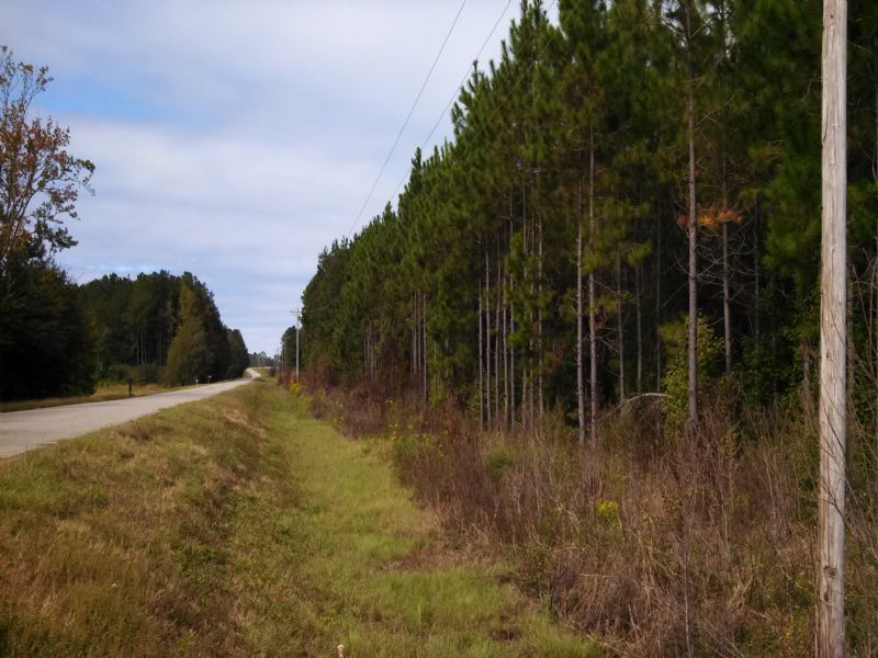 Bank Owned - 183 Acres : Register : Bulloch County : Georgia