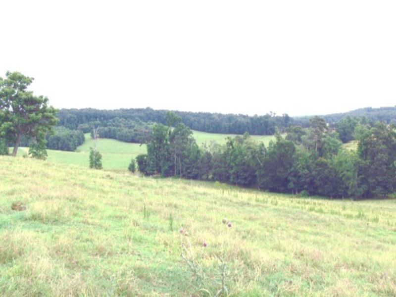 Cattle Farm & Country Estate : Logan : Cullman County : Alabama