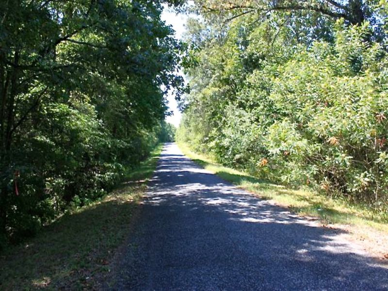 50 Acres in Fort Lawn : Fort Lawn : Chester County : South Carolina