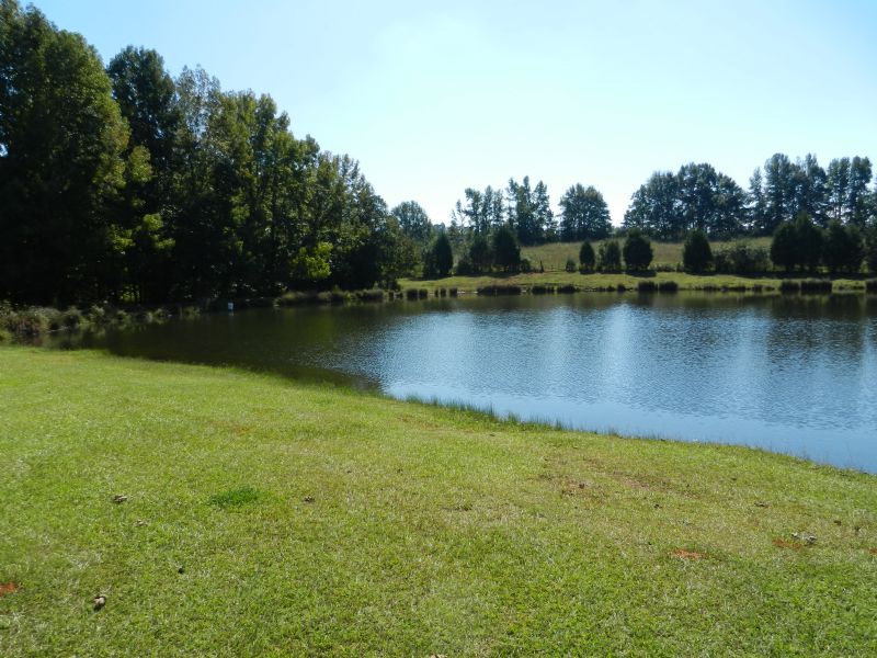 40+/- Acre Farm W/lake : Roanoke : Randolph County : Alabama