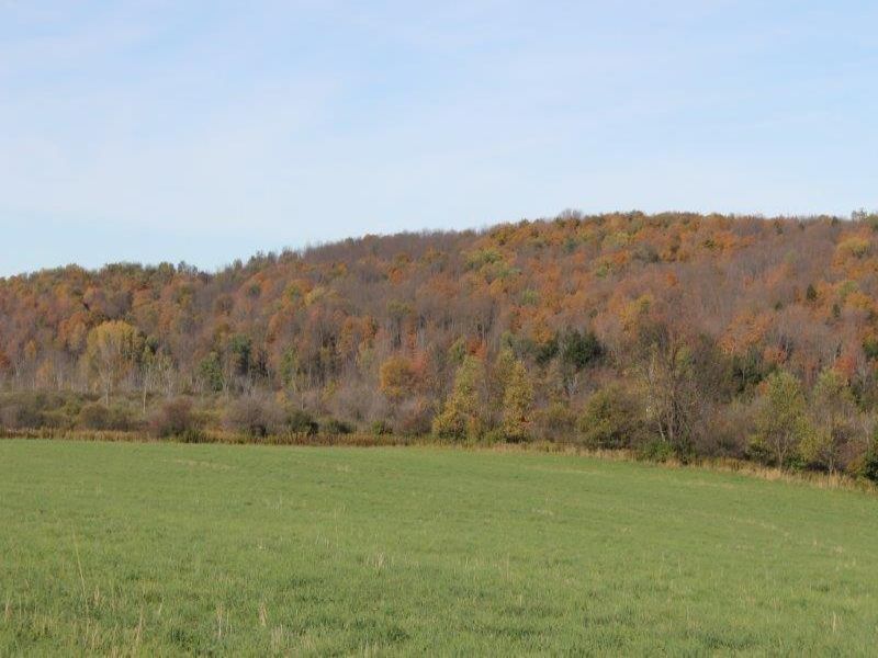 21 Acres Farmland Owner Financing : Eaton : Madison County : New York