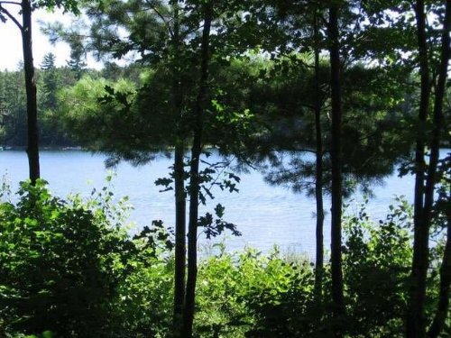 Large, Private Plummer Lake Lot : Lac Du Flambeau : Vilas County : Wisconsin