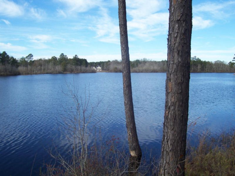 Recreational / Lake : Portal : Bulloch County : Georgia