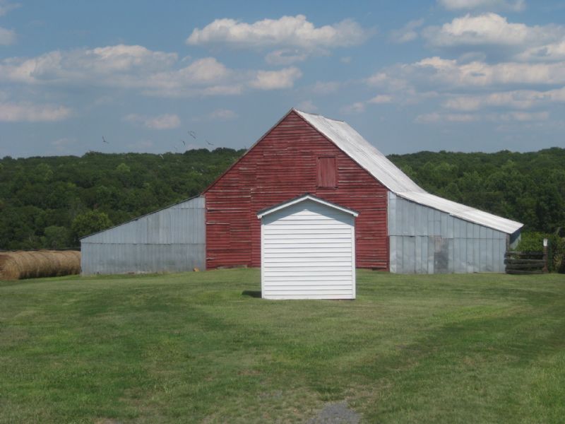 118 Acre Farm : Farmville : Prince Edward County : Virginia