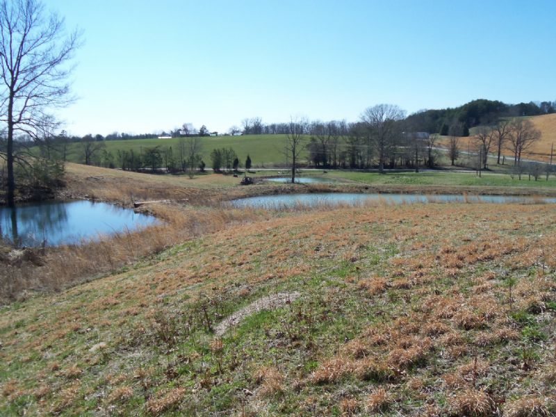 3 Lakes, Views, Meadows, 34 Acres : Pikeville : Bledsoe County : Tennessee