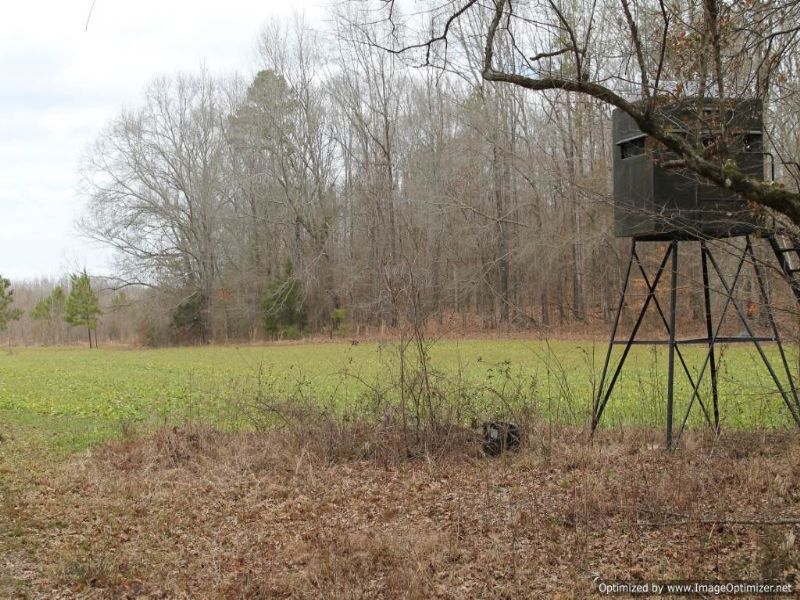 186 Acres : Utica : Hinds County : Mississippi