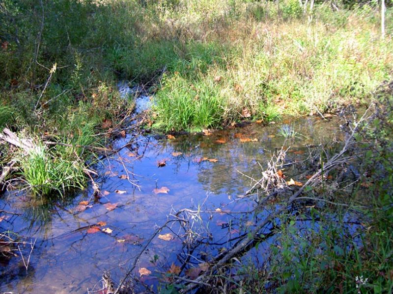 8.5 Acres with Creek : Raymondville : Texas County : Missouri