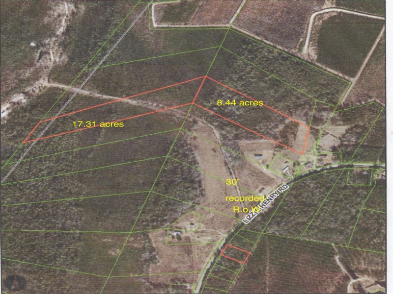 25 + Acres Hunting / Get-away Tract : Ivanhoe : Pender County : North Carolina