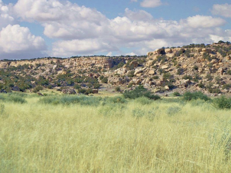 No AZ Wilderness Ranch $193 Month : Sanders : Apache County : Arizona