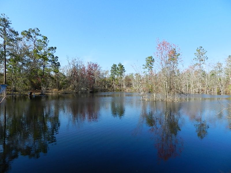 Reduced-peebles Pond Tract - 99 Ac : Swainsboro : Emanuel County : Georgia