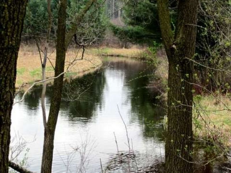 199 Acres On Mecan River W/log Home : Neshkoro : Marquette County : Wisconsin