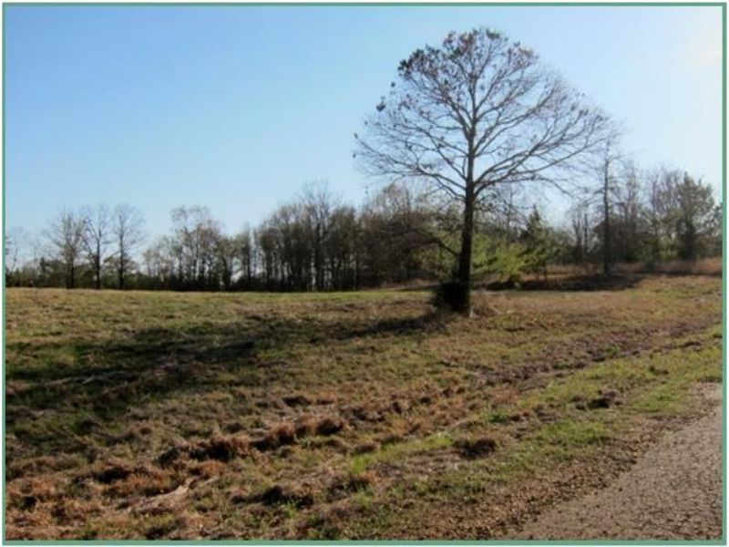 2.58 Acres : Terry : Hinds County : Mississippi