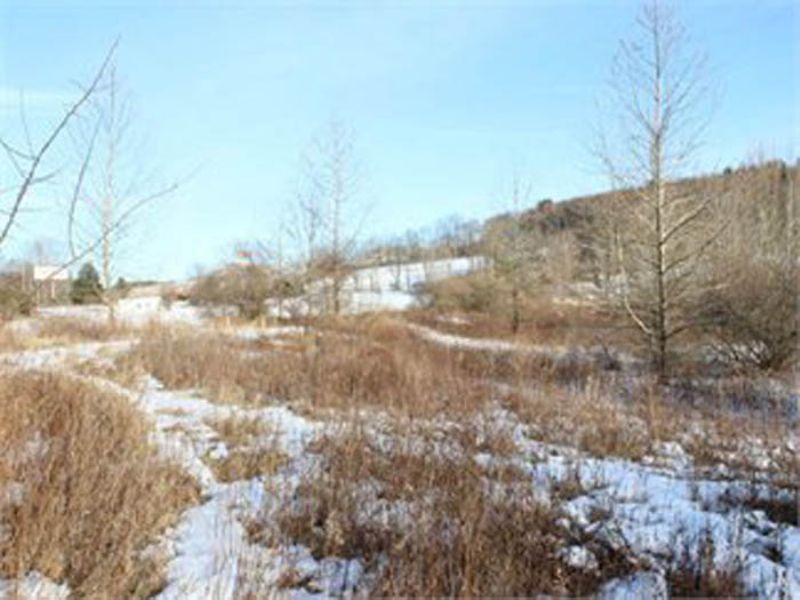 26 +/- Acre Commercial Land Auction : Bloomsburg : Columbia County : Pennsylvania