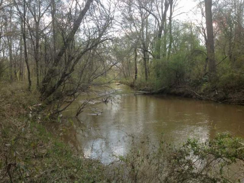 316+/- Acres On Wehadkee Creek : Rock Mills : Randolph County : Alabama