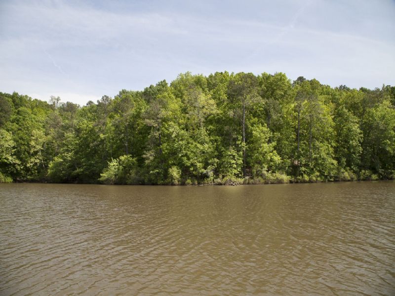 Pristine Lakefront Home Site : East Tallassee : Tallapoosa County : Alabama