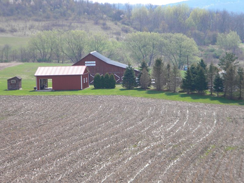 299 Acres with House and Barn : Woodhull : Steuben County : New York
