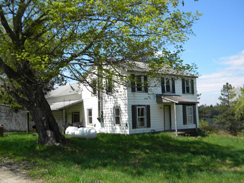 64 Acres Farm House State Forest : Orange : Schuyler County : New York