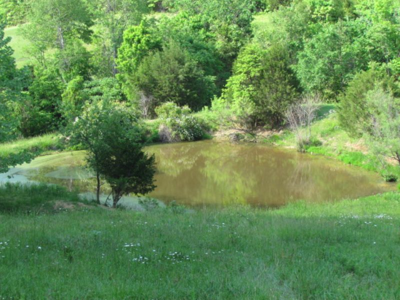 40 Acres, Grass, Woods, Pond : Eminence : Shannon County : Missouri