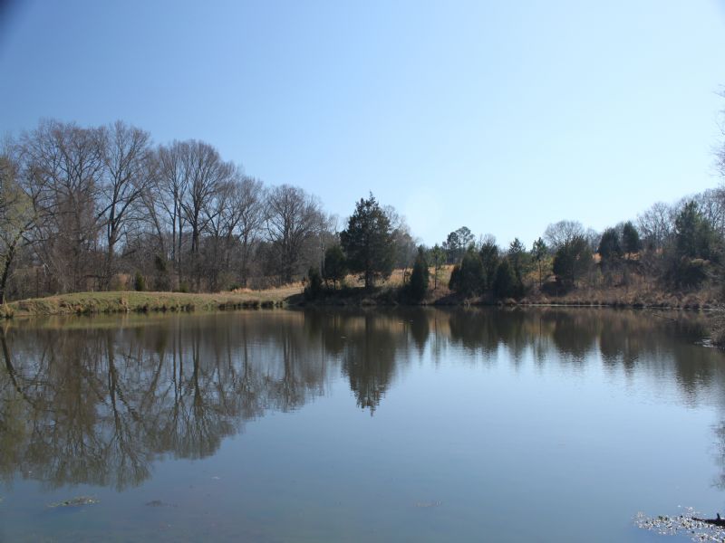 1486.20 Acres On The Tn R : Bath Springs : Decatur County : Tennessee
