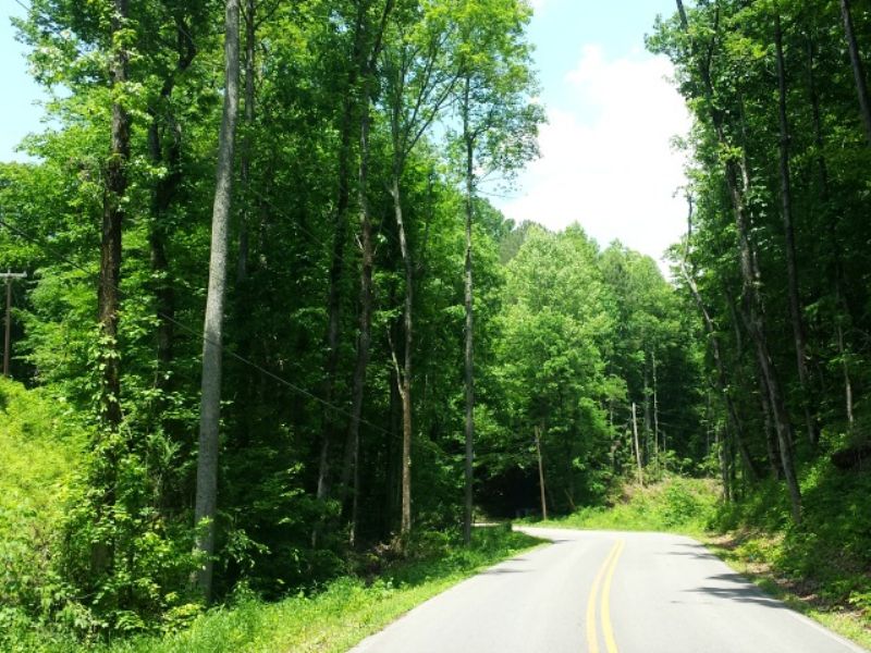 Wooded & Private Lot : Athens : McMinn County : Tennessee