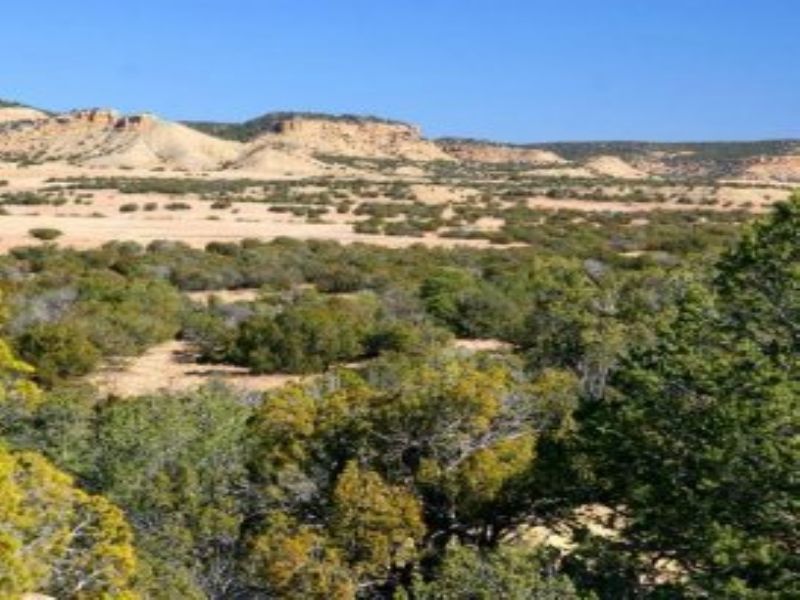 Cheap Land for Sale : Saint Johns : Apache County : Arizona