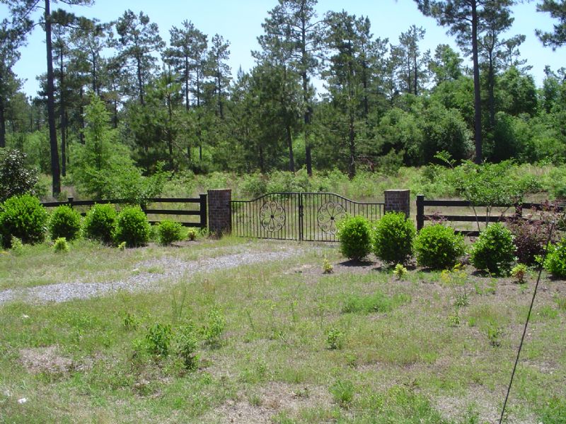 Epps Gate Tract : Kingstree : Williamsburg County : South Carolina