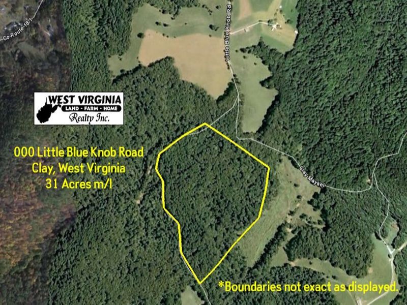 Great Ridge Top Property : Clay : Clay County : West Virginia