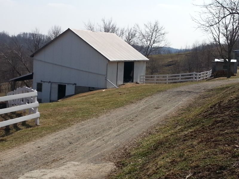 12.7 Acre Mini Farm : Summerfield : Noble County : Ohio
