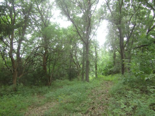 9.39 Acres Of Hunting Land : Blue Springs : Jackson County : Missouri