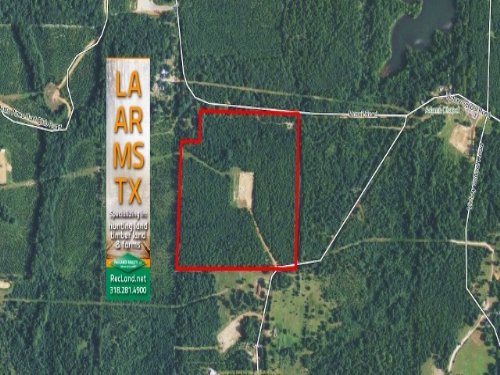 40.6 Acres Hunting Land, Timber : Avinger : Marion County : Texas