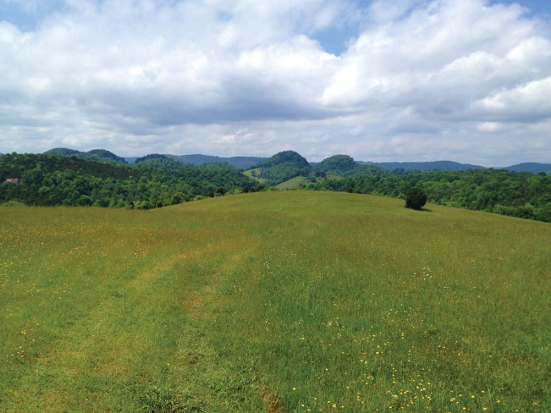 Absolute: 309.6 Acres in 11 Tracts : Cedar Bluff : Russell County : Virginia
