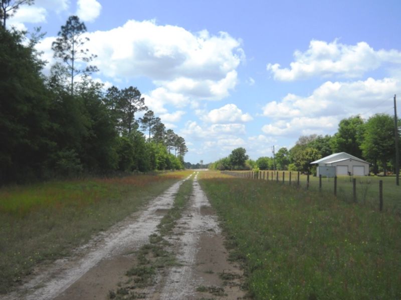 35+ Acres Cleared Land : Live Oak : Suwannee County : Florida