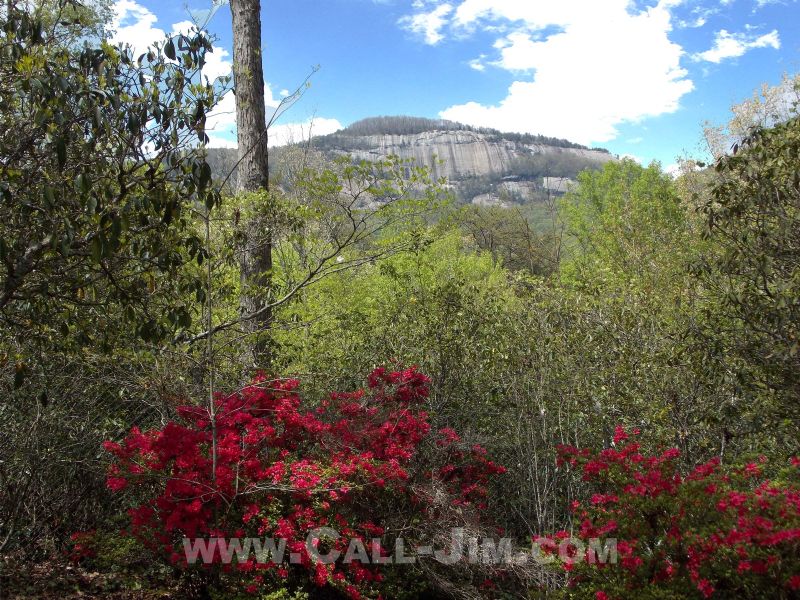Classic Mountain Retreat Mtn View : Pickens : Pickens County : South Carolina