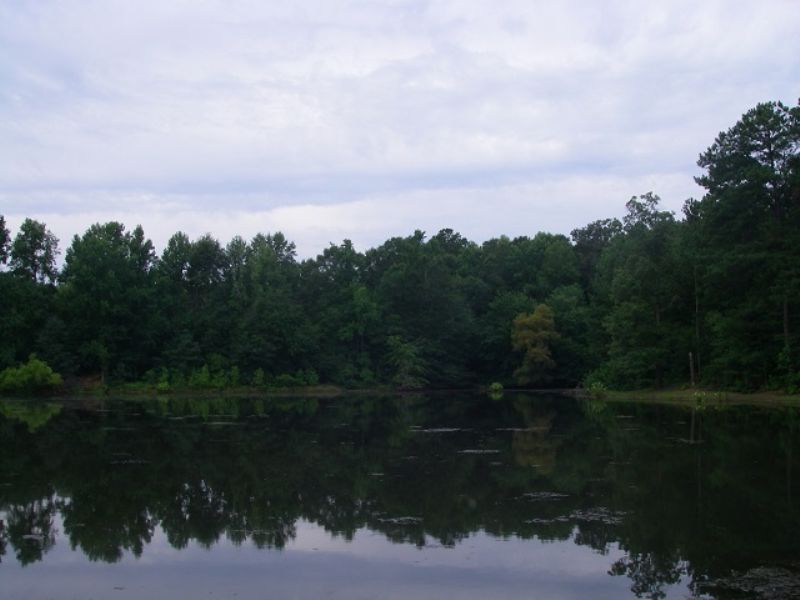 13.66 Ac On Hidden Lake Rd. : Warm Springs : Meriwether County : Georgia