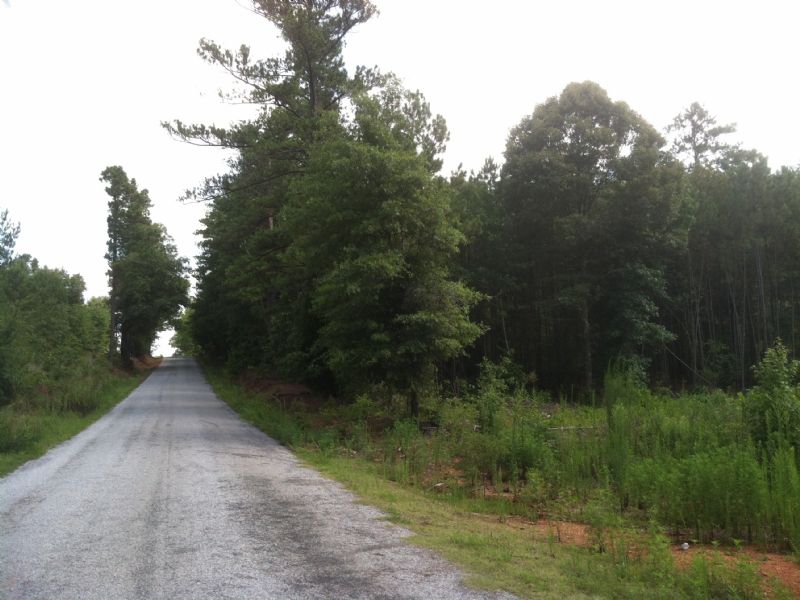 51 Acres - 2600+/- Ft. On Road : Talladega : Talladega County : Alabama
