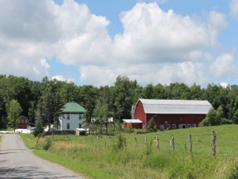 Certified Organic Dairy Farm : Hammond : Saint Lawrence County : New York